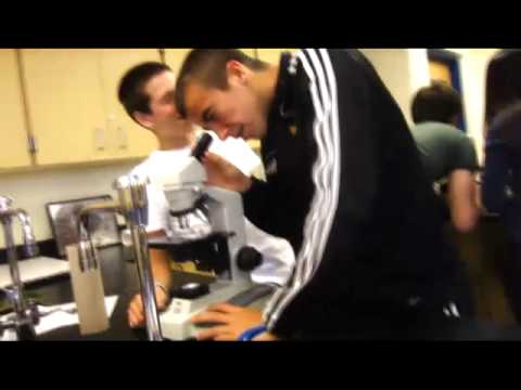 Public Schools make a Difference