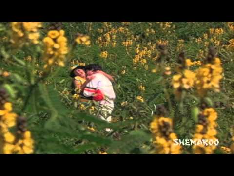 Collector Gari Abbai Movie Songs - Nachina Chota Song - Nagarjuna, ANR, Sharada