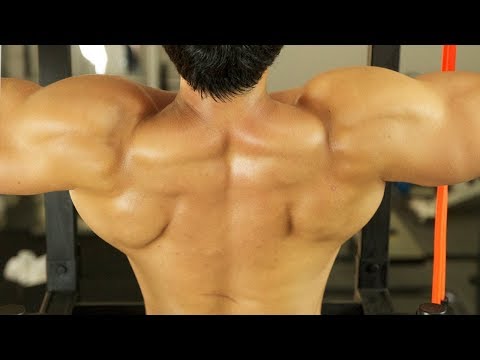 Mike Chang's Monster Mass - Mass Shoulders and Traps - Big Jhonny - Jessy - All In One