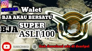 Download lagu suara inap walet AKAU BJA bersatu \100 mp3 Download lagu suara inap walet AKAU BJA bersatu \100 mp3