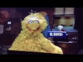 Sesame Street Big Bird Talks About School