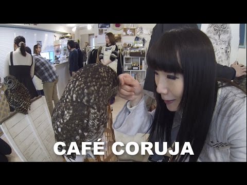 download lagu mp3 mp4 Coruja Cafe, download lagu Coruja Cafe gratis, unduh video klip Coruja Cafe