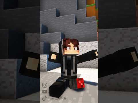 Minecraft vs réalité !