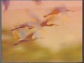 South African Airways Advert 1992
