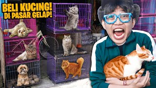 Download lagu NEPATIN JANJI‼️BELI KUCING DI PASAR TERBESAR DI BALI‼️AKHIRNYA PELIHARA BANYAK KUCING‼️ mp3 Download lagu NEPATIN JANJI‼️BELI KUCING DI PASAR TERBESAR DI BALI‼️AKHIRNYA PELIHARA BANYAK KUCING‼️ mp3