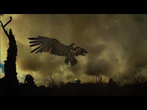 Али Димаев   Нохчийчоь  Чеченский и Русский текст