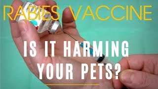 Is Rabies Vaccine Harming Your Pets?