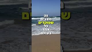 הרב שלום סבג - שיעורי וידאו - הרב שלום סבג – נֵרְדְּ וְכַרְכֹּם קָנֶה וְקִנָּמוֹן✨