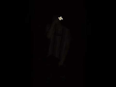 Lápiz de Kendo- El Drako ⚔️ #1 anti🚫JudasⓂ️❗️