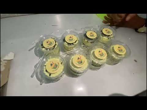 Praktikum Fitofarmasi Pembuatan Es Krim Temulawak - Kelompok 4 FM21A