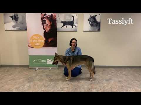 Rehab-grundövning: "Tasslyft"