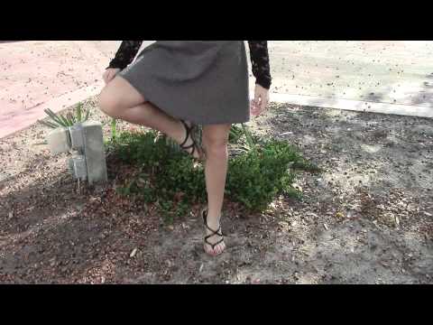 Tiptoe Through The Tulips Music Video