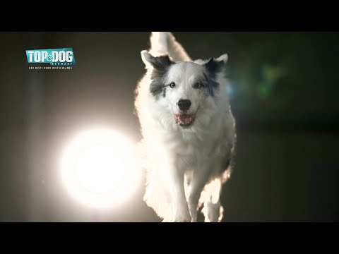 Melanie and Hörtnix understand each other even without words! 🥰 | Top Dog Germany