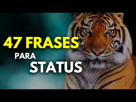 47 Frases Impactantes para Status Inspire-se e Compartilhe!