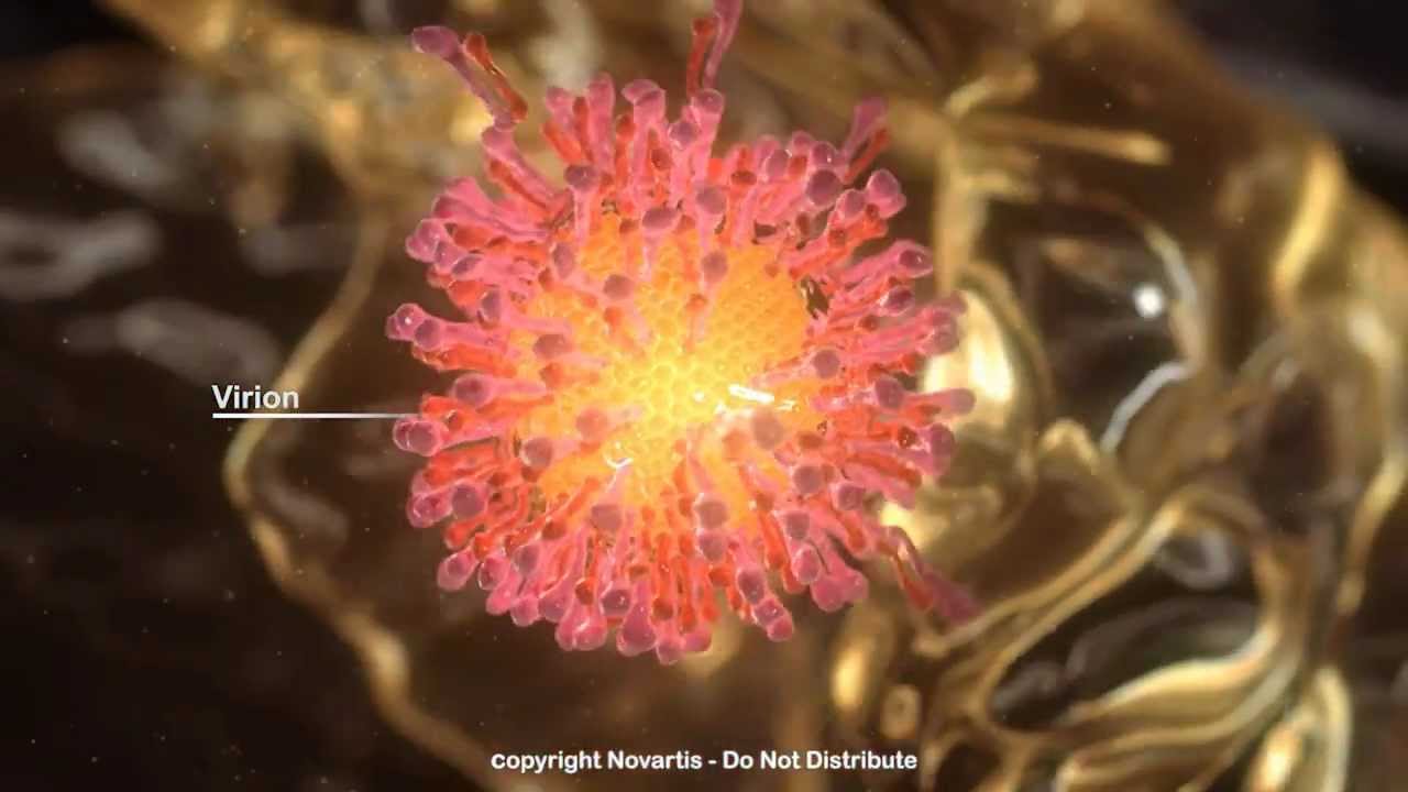 Hepatitis C (HCV) Lifecycle - Medical Animation