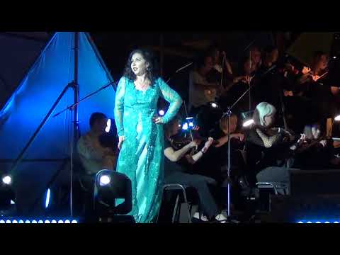 Vincent Fiorino - Blue Canary