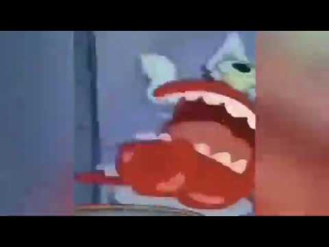 stupid videos i have on my phone (WARNING: LOUD AND FLASHY!!!!)