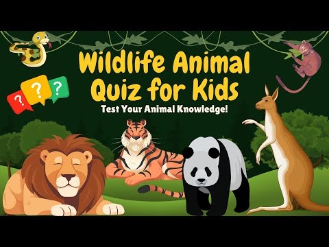 Wildlife Animal Quiz for Kids | Fun and Educational Quiz with Vihana's Little Learners