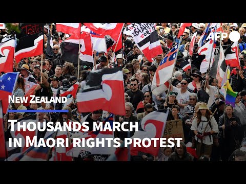 Tens of thousands march in New Zealand Maori rights protest | AFP
