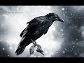 Je Pakhi Ghor Bojhena Lyrics যে পাখি ঘর বোঝেনা