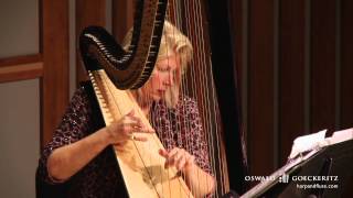 Londonderry Air - Danny Boy Song - Instrumental Flute & Harp Irish Music - Live Performance Solo