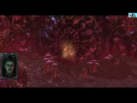 SC2 - WOL 22: All In (Char)