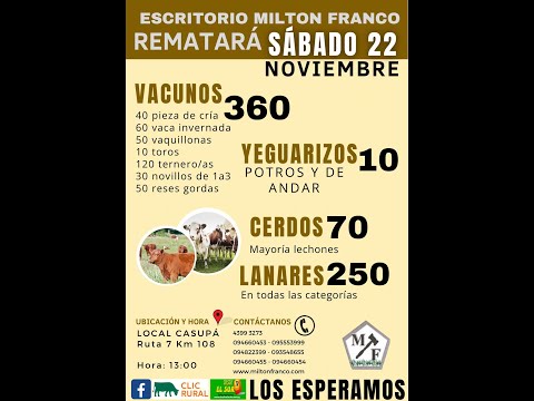 22/11/2025 Local Casupá - Florida - Feria mensual - Milton Franco