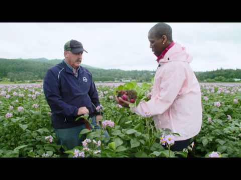 Morrison Farms | Mount Vernon, WA | Washington Grown