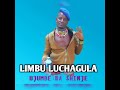 LIMBU LUCHAGULA UJUMBE WA SHINJE 078726185