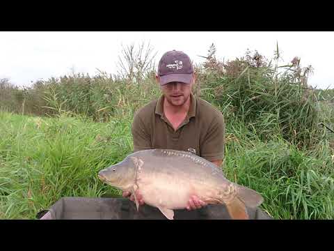Wrześniowe karpie .Zasiadka 24-28-09-2020.Łowisko Polder Kwiecewo.