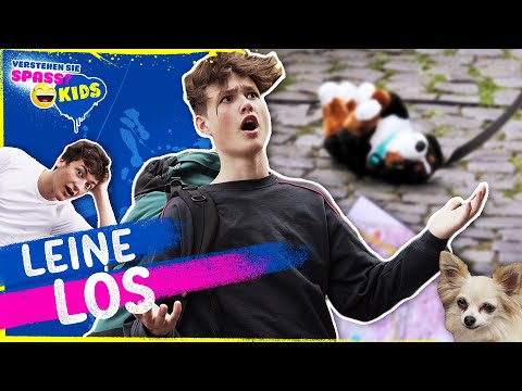 HeyMoritz hat sich verirrt  | Verstehen Sie Spaß? Kids