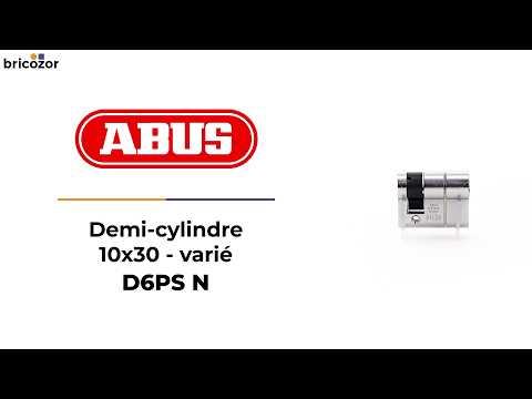 Demi-cylindre varié en laiton nickelé - 5 clés - D6PS ABUS