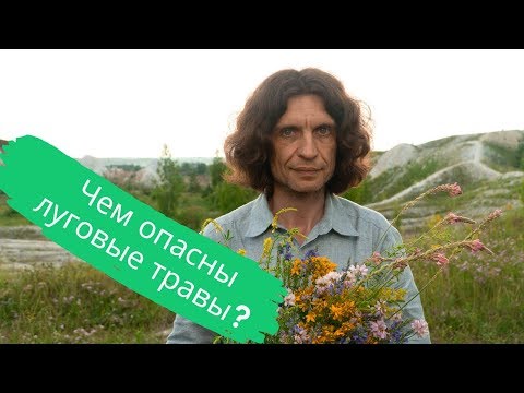 Луговые травы. Польза или вред?