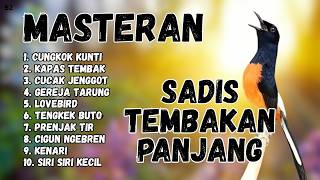 Download lagu 🔴 GACOR SADIS MENTAL KUAT MASTERAN MURAI BATU GACOR mp3 Download lagu 🔴 GACOR SADIS MENTAL KUAT MASTERAN MURAI BATU GACOR mp3