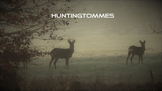 Jagdmomente in der Eifel 2020