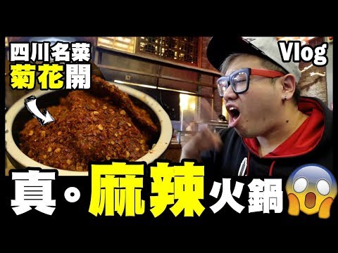 【Vlog】挑戰四川名菜『菊花開』正宗麻辣火鍋原來係咁樣？