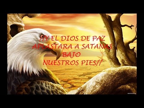 Romanos 16:19 Diz video