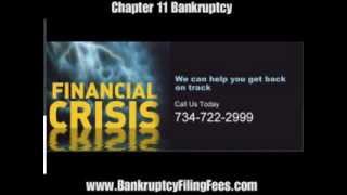 Westland Michigan Chapter 11 Bankruptcy Firebaugh and Andrews 734-722-2999