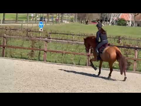 Last Samurai W&W video 3