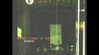 Bird of Paradise - More than a song