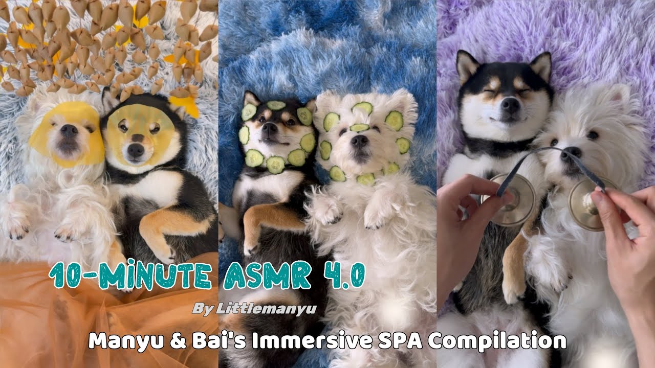 【10-Minute ASMR 4.0】Manyu & Bai's Immersive SPA Collection | Sleep & Relaxation
