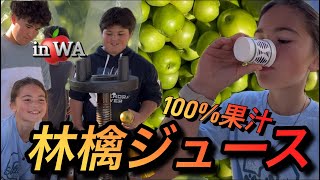 毎年恒例ワシントン州のイベント！アップルスクイーズに参加して来ました。