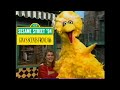Sesame Street 94 Gina S Scenes From 3166