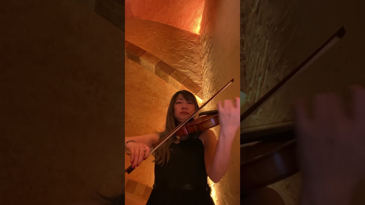 Promotional video thumbnail 1 for Mocha Ishibshi