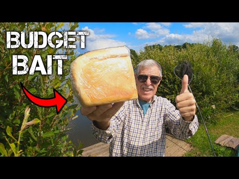 The ULTIMATE Budget Fishing Bait?!
