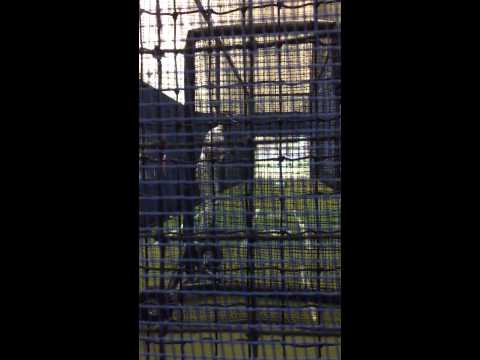 Jack Naal Pro-batter with John Cangelosi 3/1/15