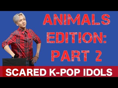 Scared K-Pop Idols: Animals Edition 2