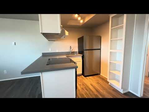 1422 Chestnut St. - 8 Unit - Video 2 of 2