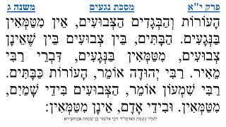 מסכת נגעים פרק י"א משנה ג