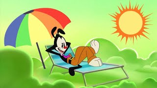 Cover art for Yakko's Big Idea